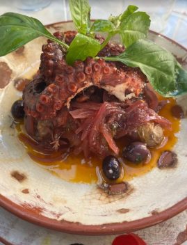Poulpe grillé garni de basilic frais, olives noires et oignons rouges sur lit d'huile d'olive